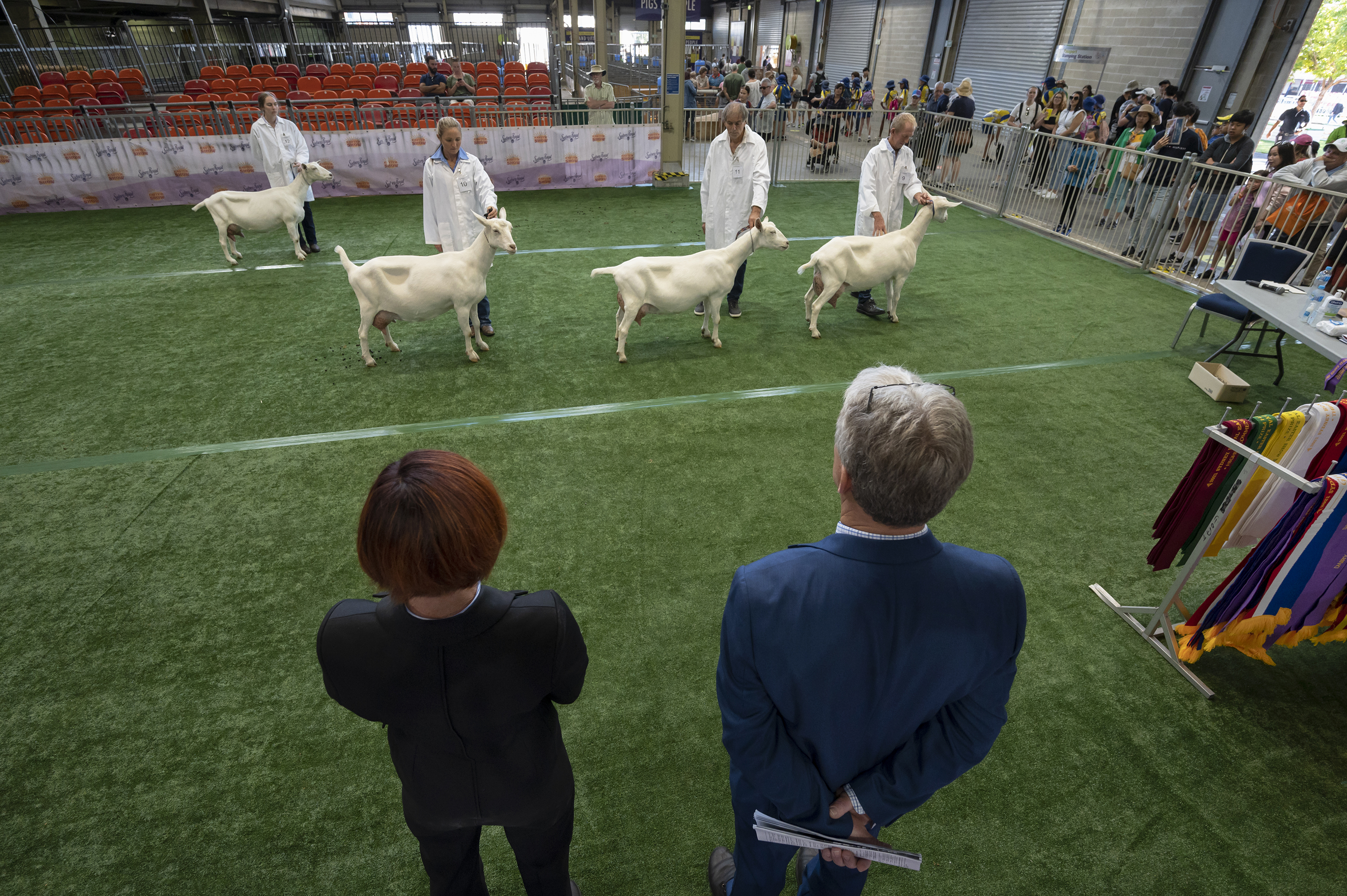 Sydney Royal Goat Show