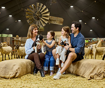 12 Reasons | Farmyard Nursery