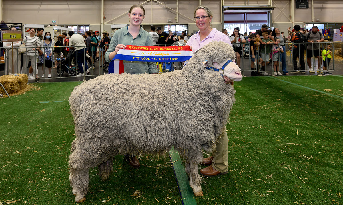 SRES_Save-the-date-Image